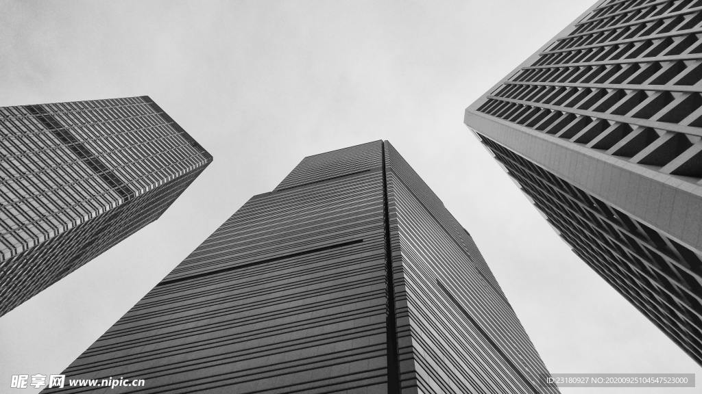 城市 仰視