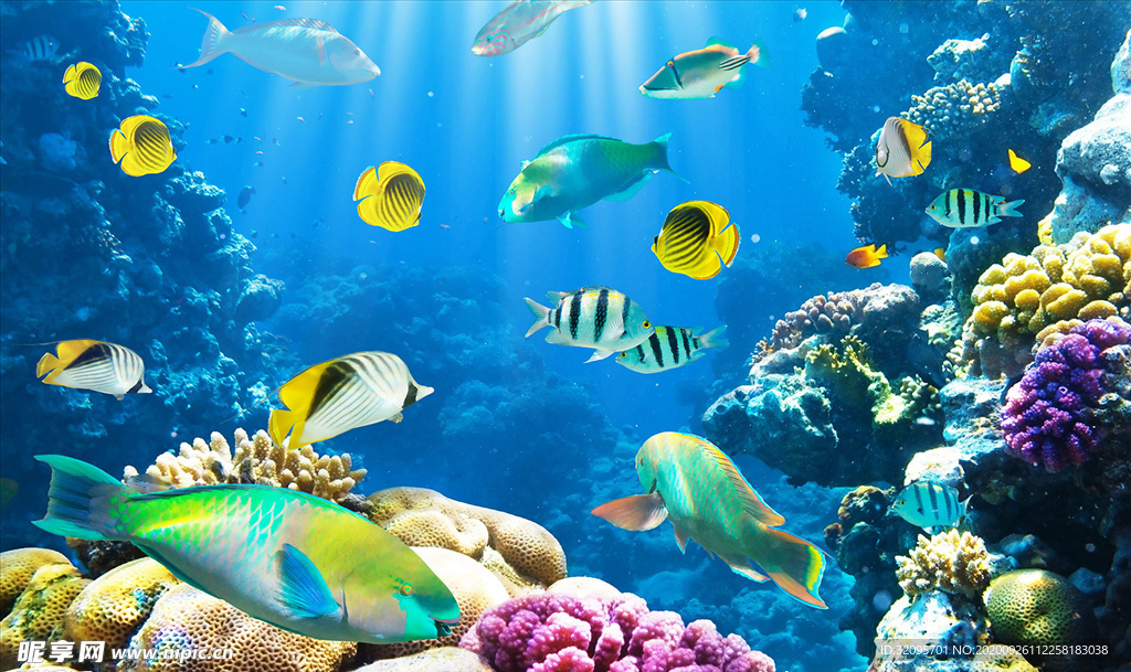 海洋世界 珊瑚 鱼类 背景墙