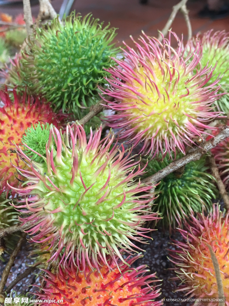 新鮮的紅毛丹水果