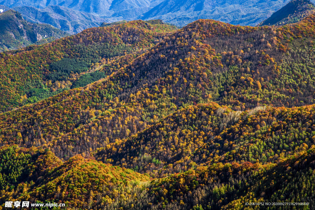 壯麗的大山風景