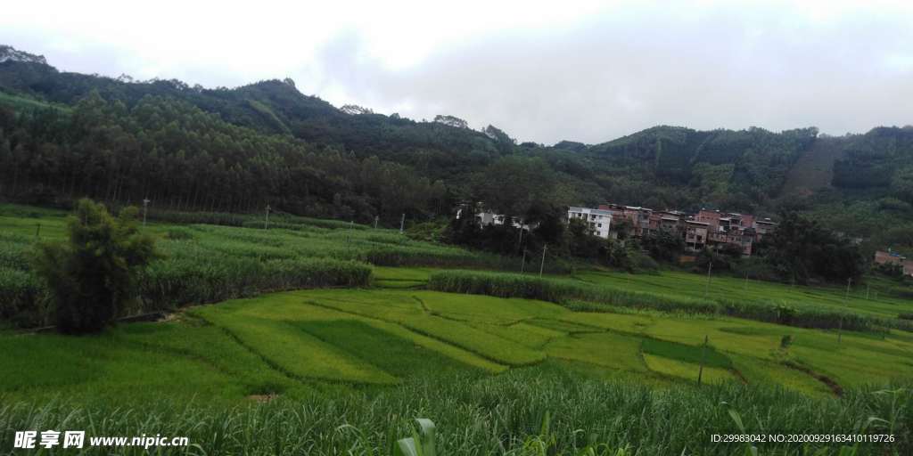 風(fēng)景鄉(xiāng)村風(fēng)景