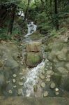 流水