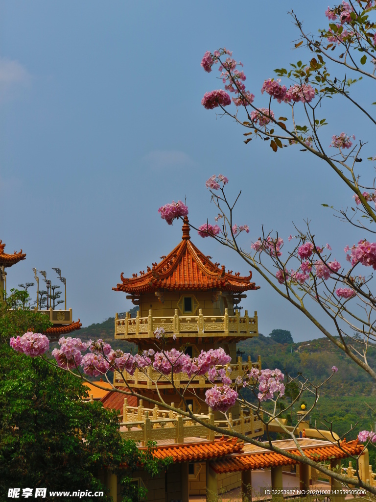 金寶光圣堂