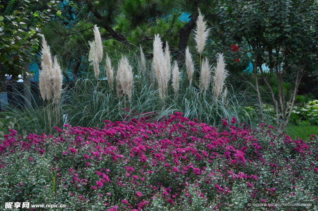 園林花草