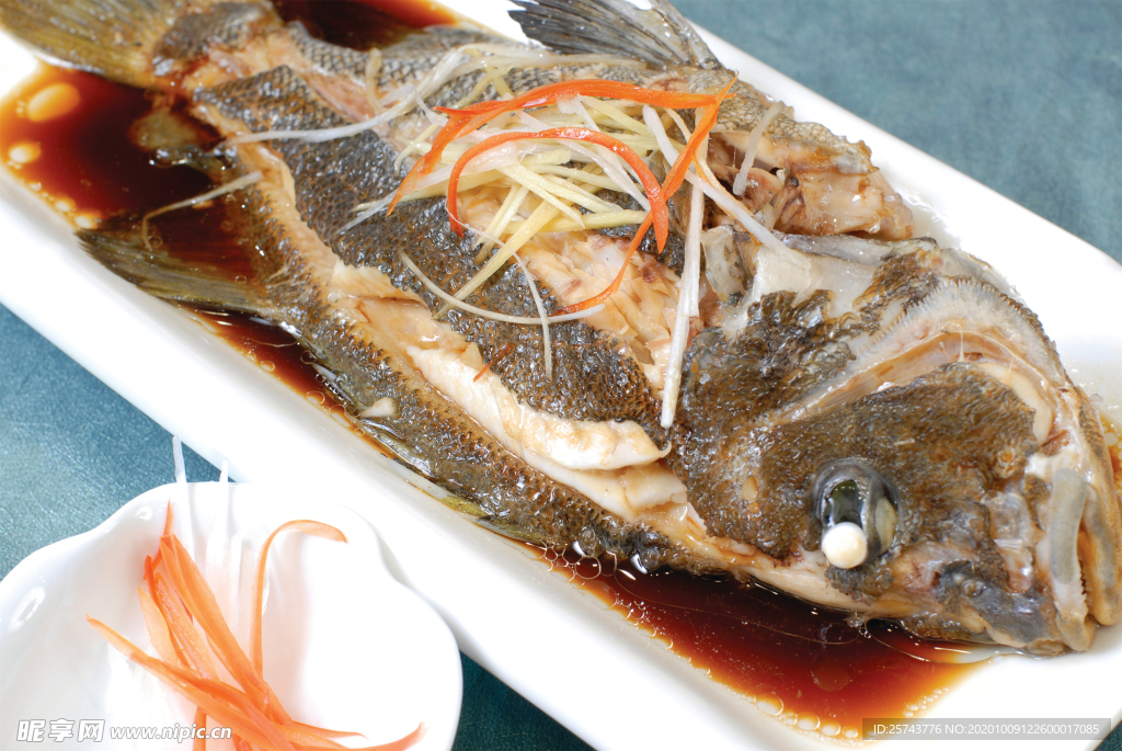 肥腸魚