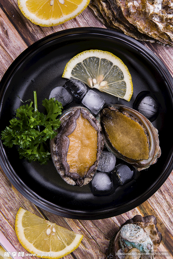 鮑魚海鮮美食背景海報素材