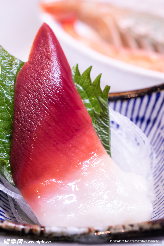 扇貝日式料理背景海報(bào)素材