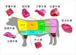 牛肉分部图