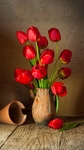 红玫瑰陶瓷花瓶插花