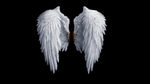 天使 翅膀