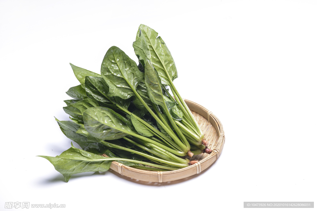 新鮮菠菜圖片
