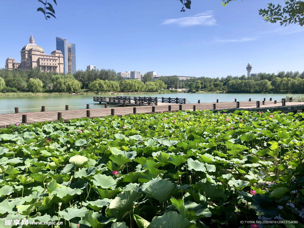 寧夏典農河