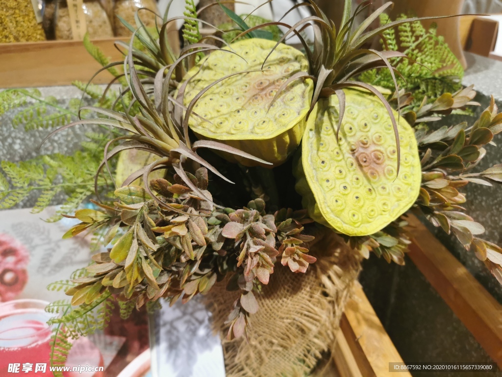 蓮蓬綠植裝飾物