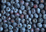 蓝莓 贴图 纹理 纹路 水果