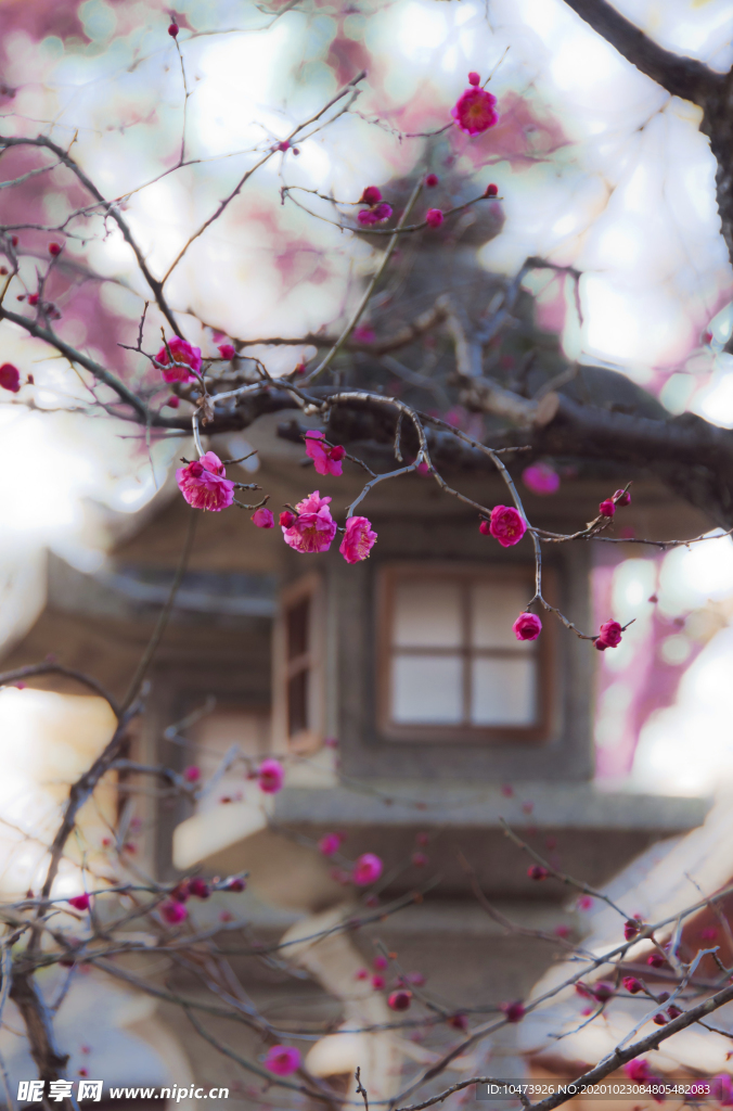 唯美樓閣風(fēng)景圖片