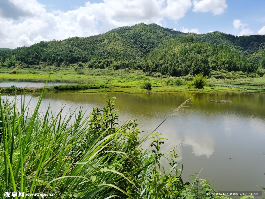 南方丘陵 青山下的水池