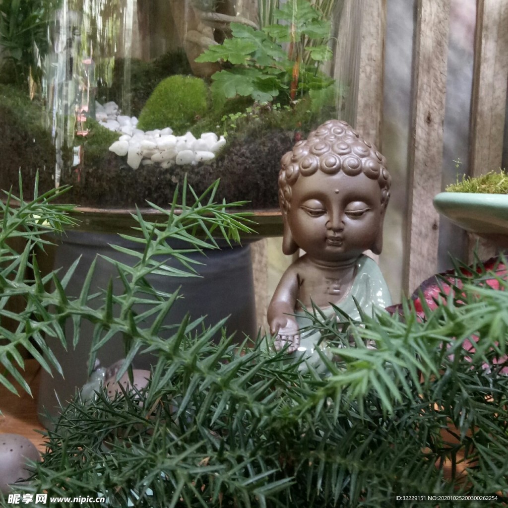 禪
