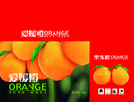 果冻橙橙子手提盒橙子包装