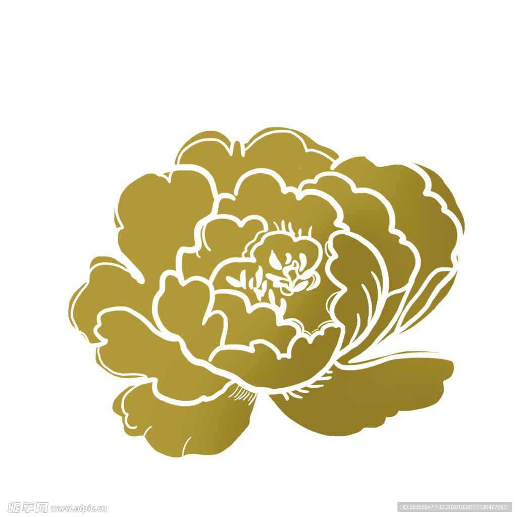 金色牡丹