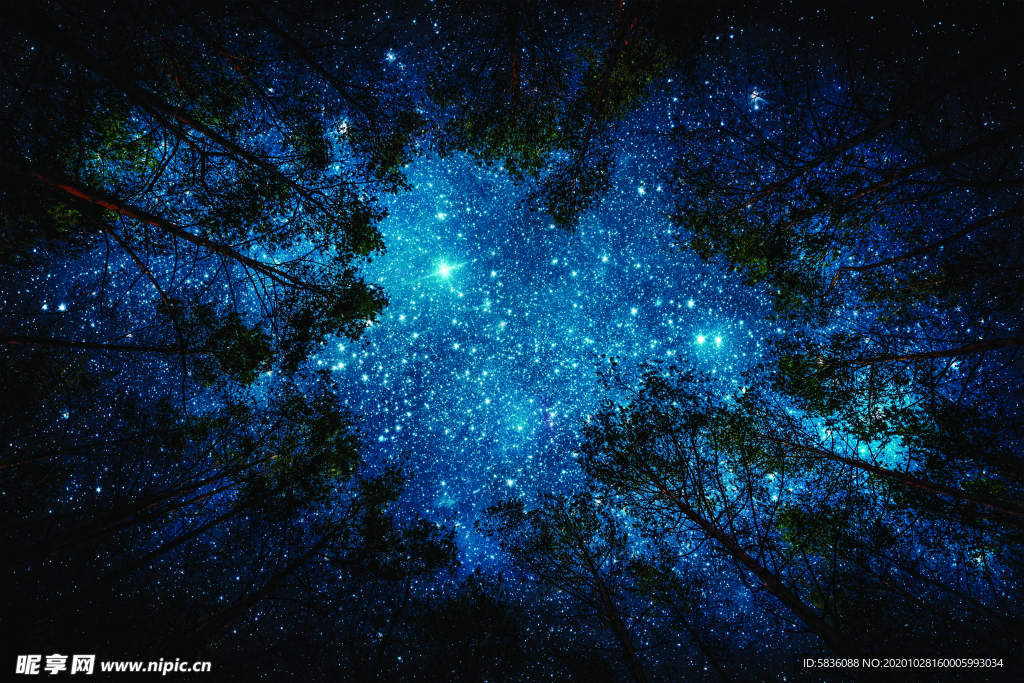 树林上面的星空繁星点点背景画