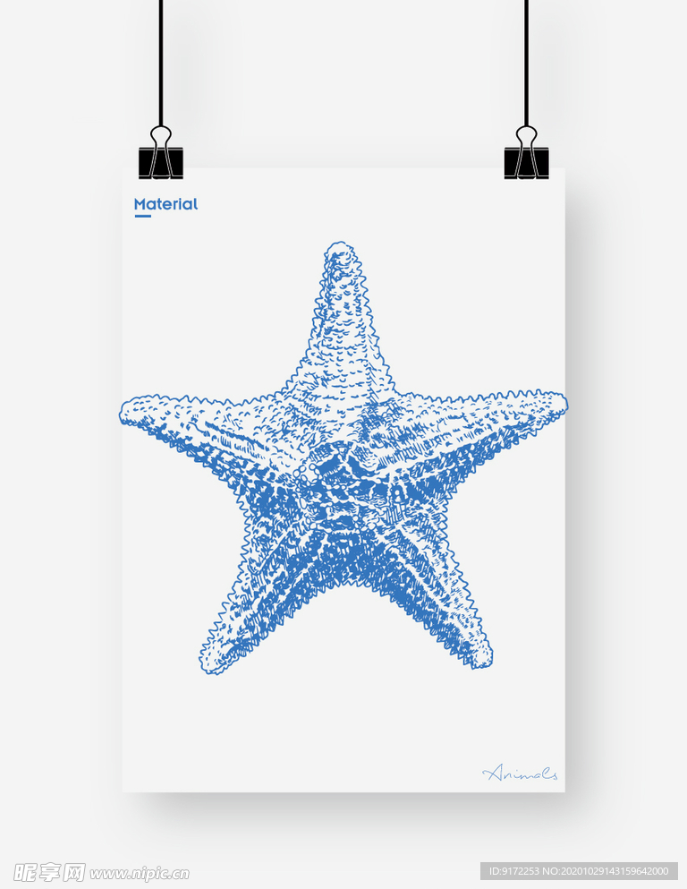 海星