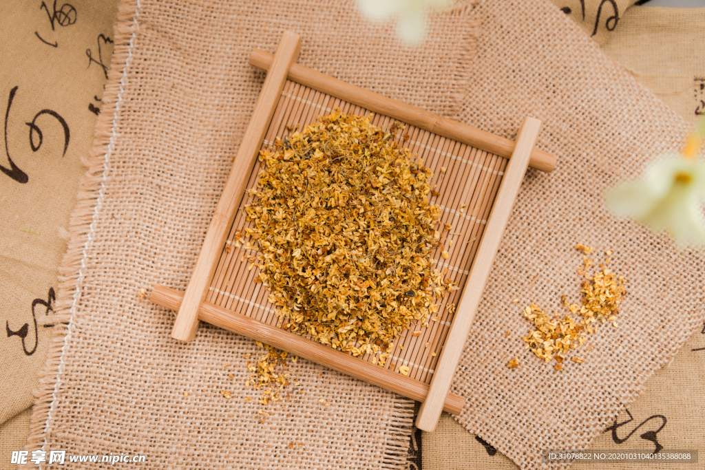 中醫(yī)藥材攝影圖