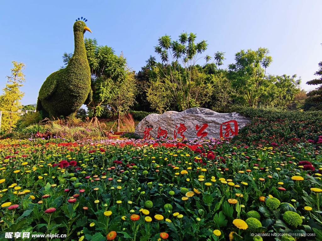 菊花公園