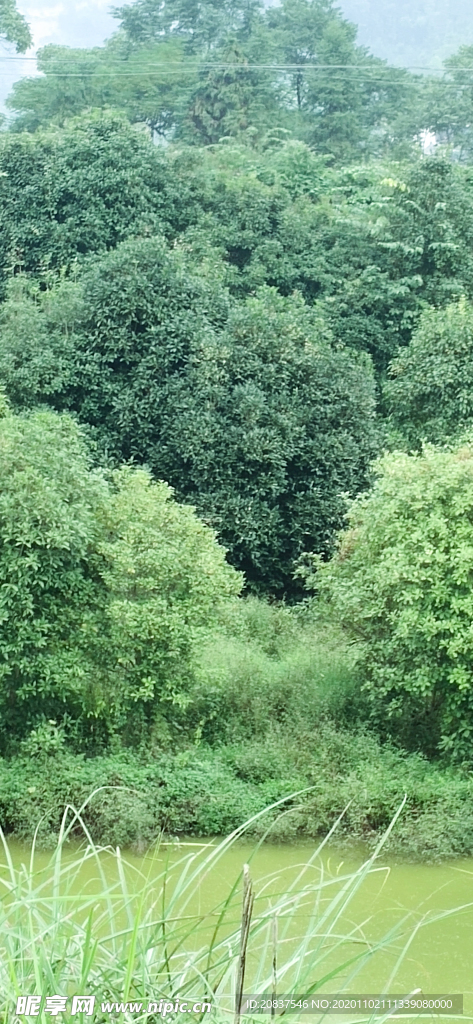 風(fēng)景山水圓