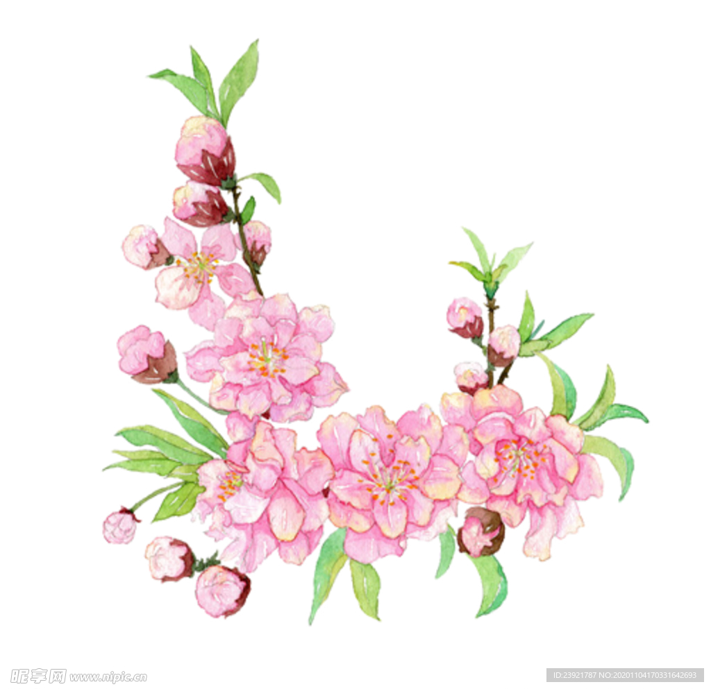 桃花
