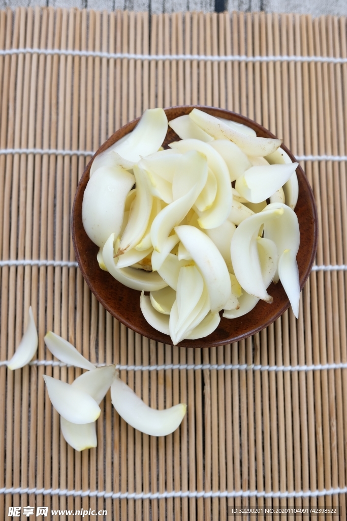 普通百合