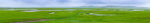 呼伦贝尔大草原图片