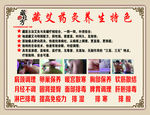 藏红方海报