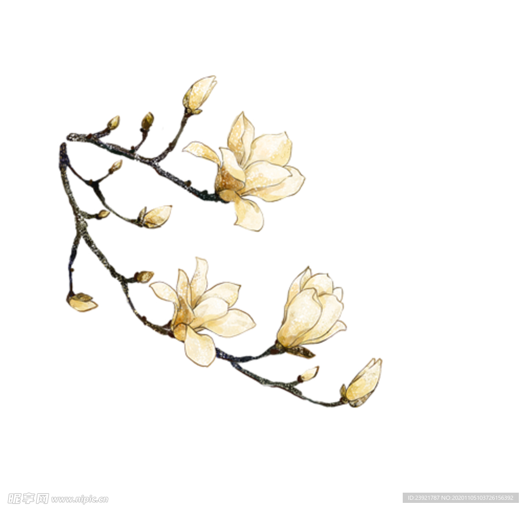 花