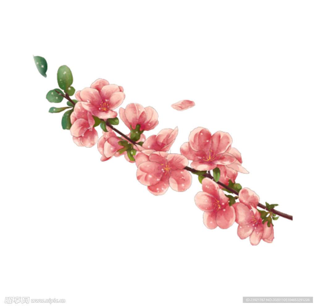 桃花