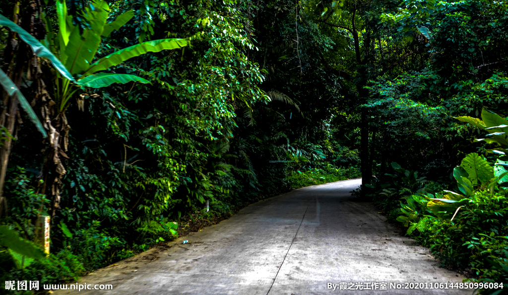 雨林公路