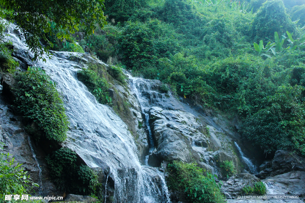 热带雨林