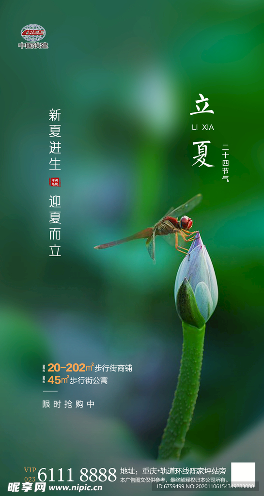 立夏節(jié)氣稿