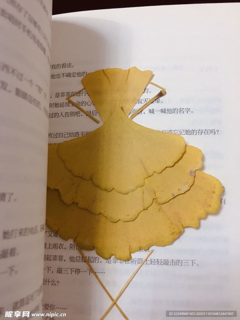 銀杏葉 芭蕾舞女孩