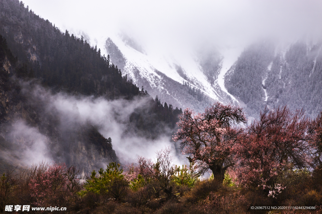 登山