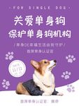 紫色创意关爱单生狗宣传海报