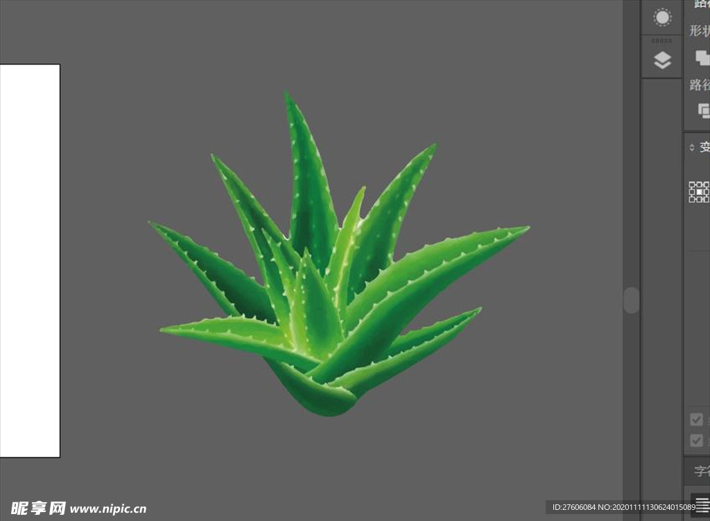 蘆薈 植物矢量源文件 補(bǔ)水護(hù)膚