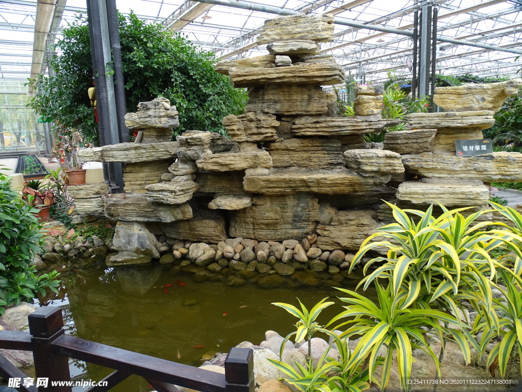山水魚植物