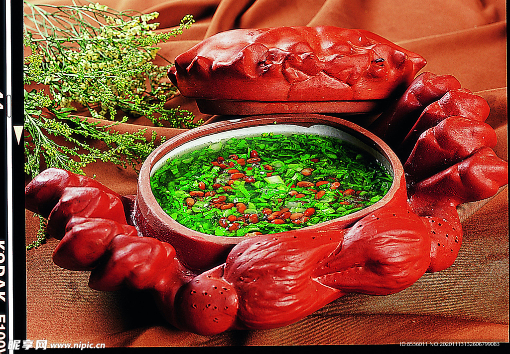 豫菜豆豆菜