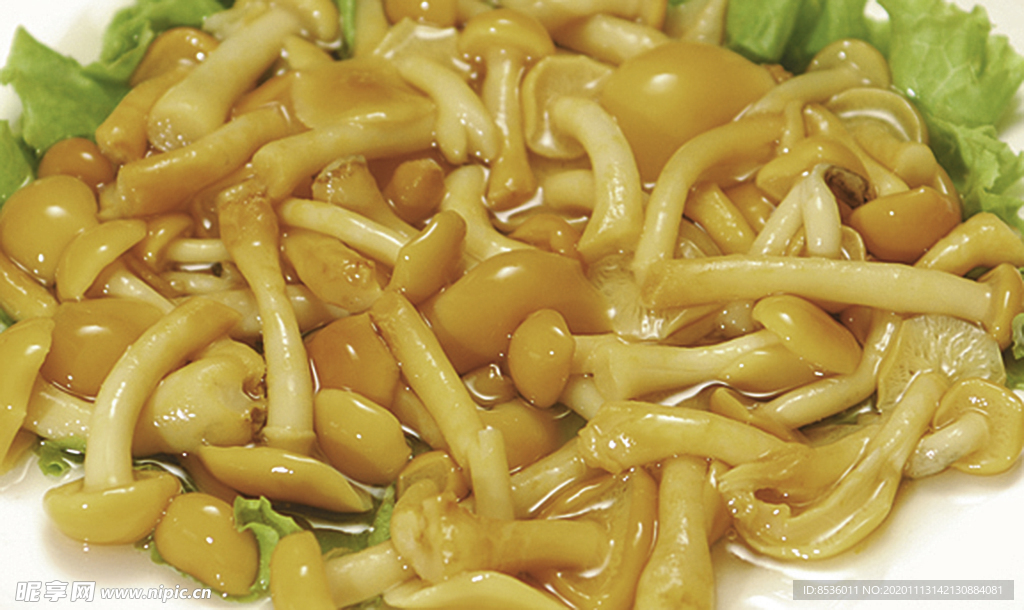 豫菜華子菇