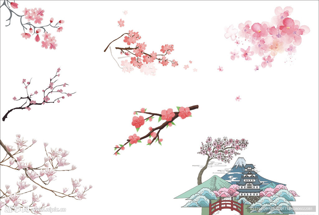 櫻花桃花