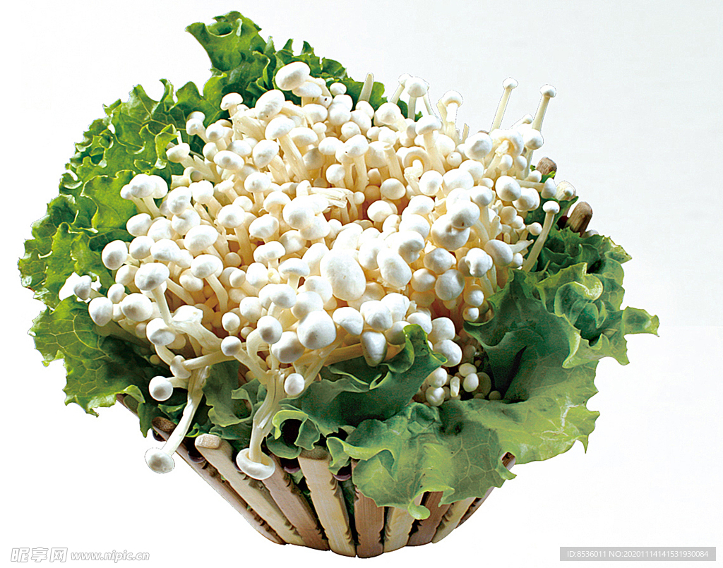 豫菜鮮金針菇