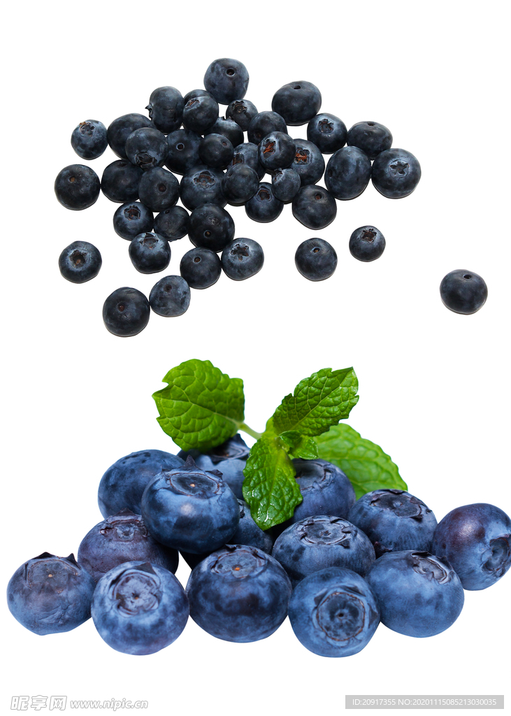 蓝莓 水果素材