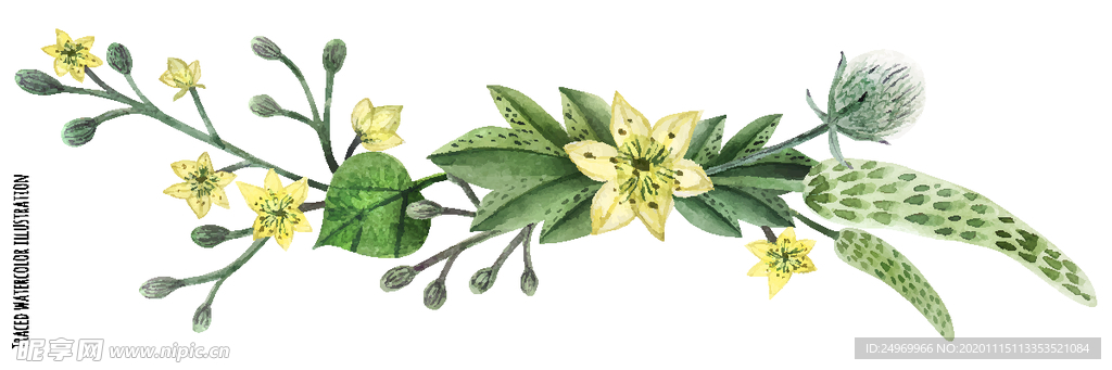 綠植花卉