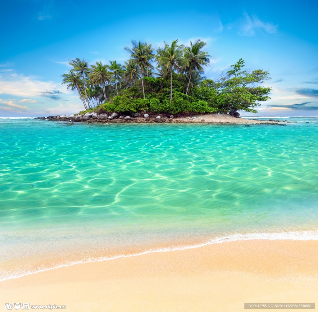 海滩棕榈椰树风景摄影图 自然风景 自然景观 摄影图库 昵图网nipic