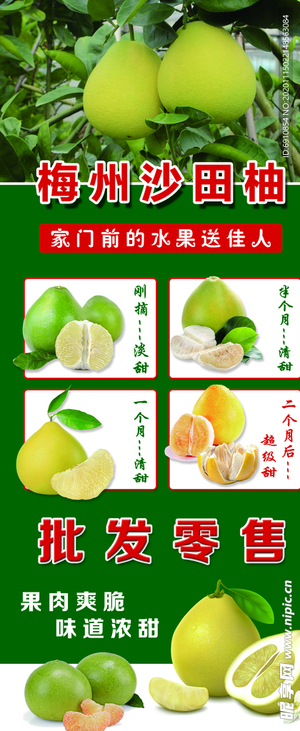 梅州沙田柚展架海報